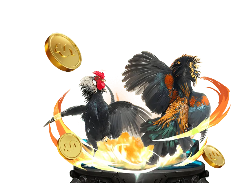 Tổng quan về Điều khoản Dịch vụ